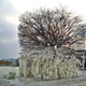 Illustration for article titled These alien-looking ice sculptures formed all on their own